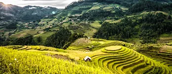 Northern Vietnam Tours
