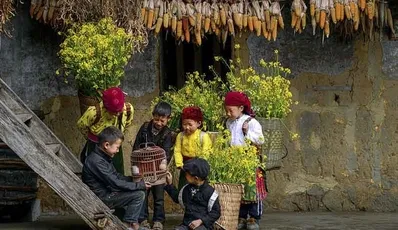 Spring Beauty in Vietnam Spring Beauty in Vietnam