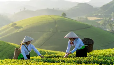 A Travel Guide to Visit Vietnam in April 2026 A Travel Guide to Visit Vietnam in April 2026