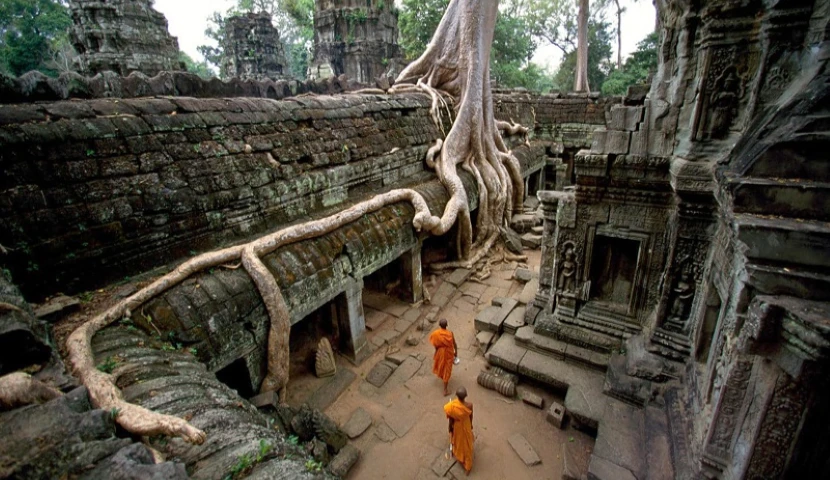 Ta Prohm Temple - The Jungle-Enveloped Wonder of Angkor